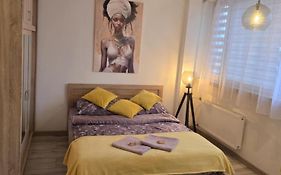 Elegancki Apartament w Centrum Miasta P&P